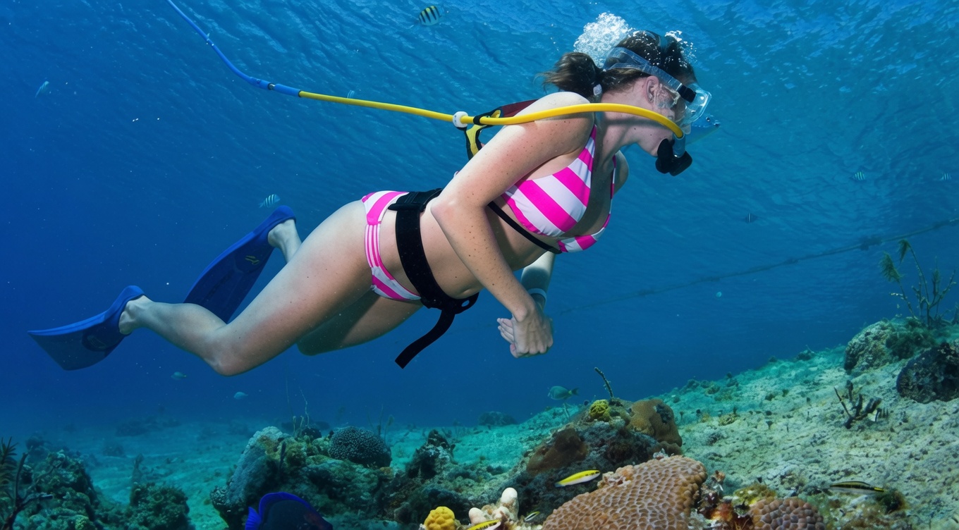 Buceo